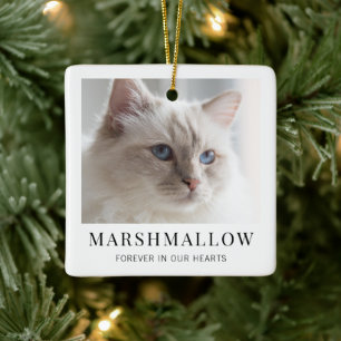 Ornement En Céramique Mémorial de photo de chat moderne minimaliste élég
