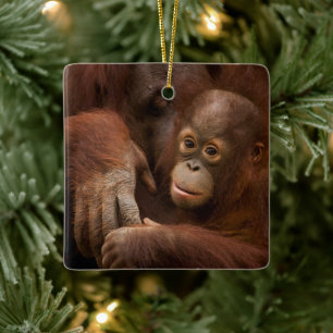 Ornement En Céramique Mère orang-outan et bébé au zoo