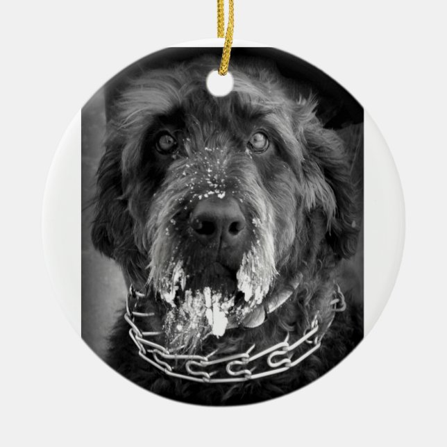 Ornement En Céramique Milou Labradoodle (Devant)