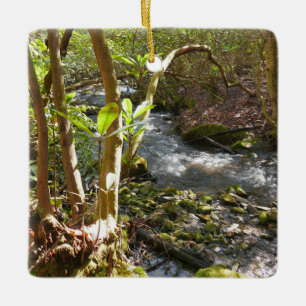 Ornement En Céramique Mingus Creek dans les Smoky Mountains