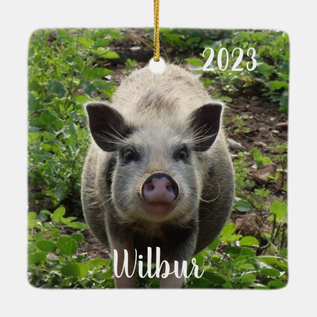 Ornement En Céramique Mini Juliana Pet Pig #2 personnalisé (Dos)