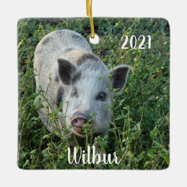 Ornement En Céramique Mini Juliana Pet Pig personnalisé (Devant)