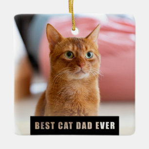 Ornement En Céramique Modern Best Cat Dad Ever Photo Christmas