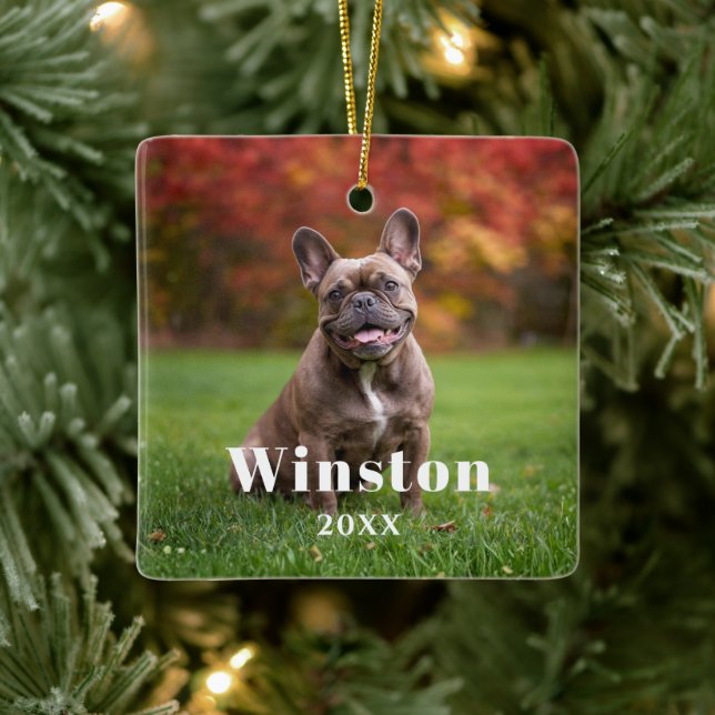 Ornement En Céramique Modern Custom Pet Name Year Photo Holiday (Arbre)
