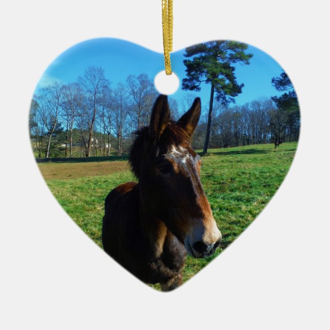 Ornement En Céramique mule Brown et blanche (Devant)