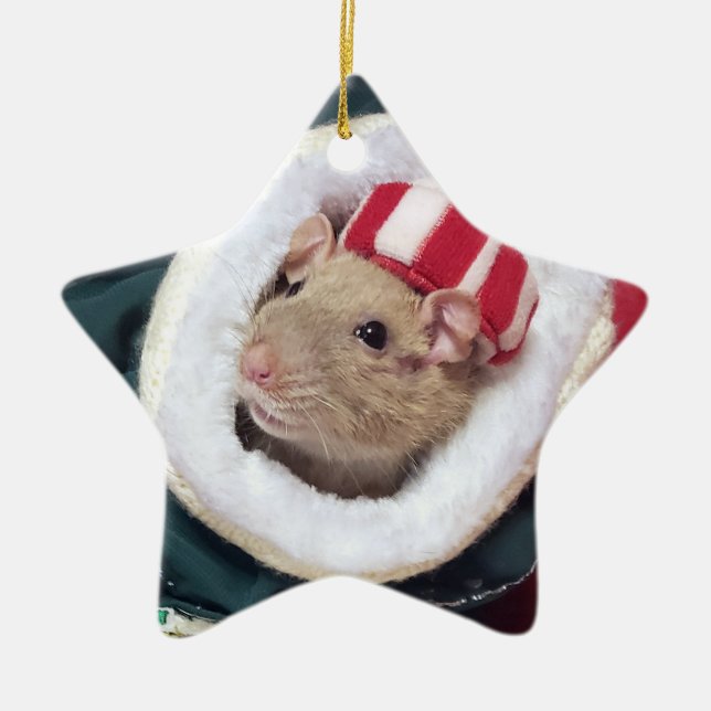 Ornement En Céramique NEW!  Pet Rat Coco Ornament (Devant)