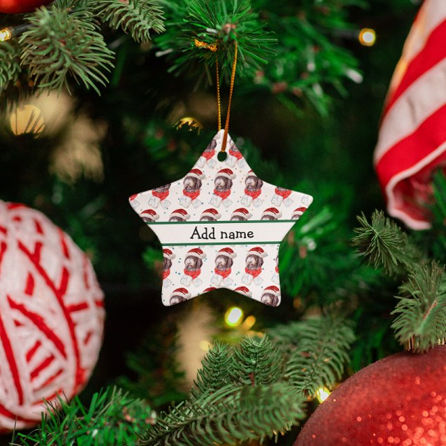 Ornement En Céramique Newfypoo Chien race Étoiles de Noël (Créateur téléchargé)