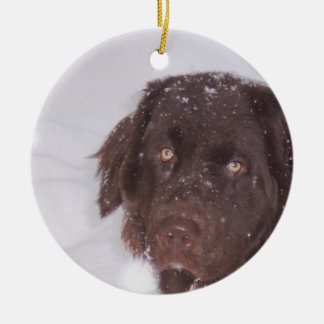Ornement En Céramique Noël de fille de Newfy