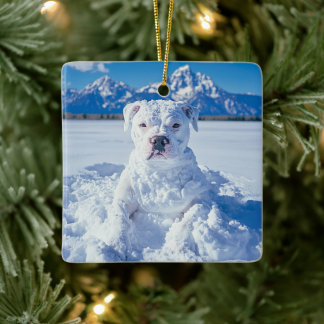 Ornement En Céramique Noël Pitbull Chien Snowman