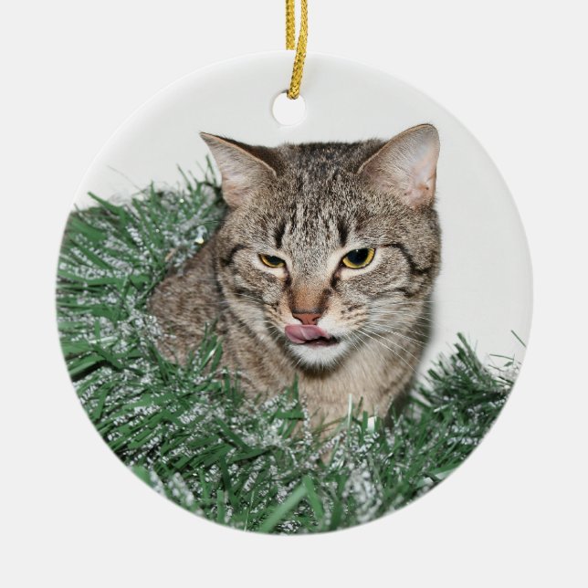Ornement En Céramique Noël Tabby (Devant)
