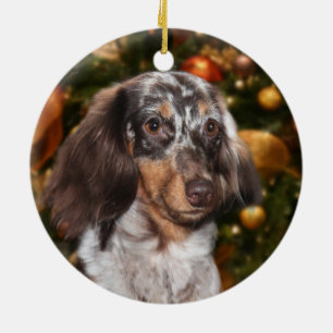 Ornement En Céramique Noël tacheté de teckel