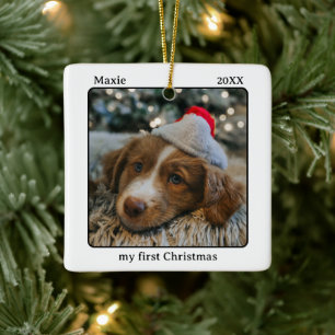 Ornement En Céramique Nom de ma première photo de Noël de mon animal