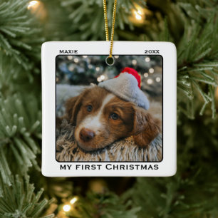 Ornement En Céramique Nom de ma première photo de Noël de mon animal