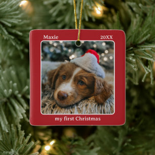 Ornement En Céramique Nom de ma première photo de Noël de mon animal