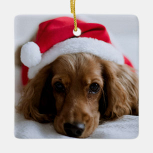 Ornement En Céramique Nom de ma première photo de Noël pour animal de co
