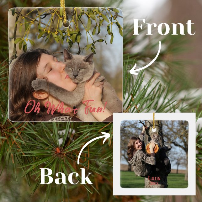 Ornement En Céramique Oh What Fun Funny Pet Noël (Créateur téléchargé)