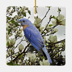 Ornement En Céramique Oiseau bleu