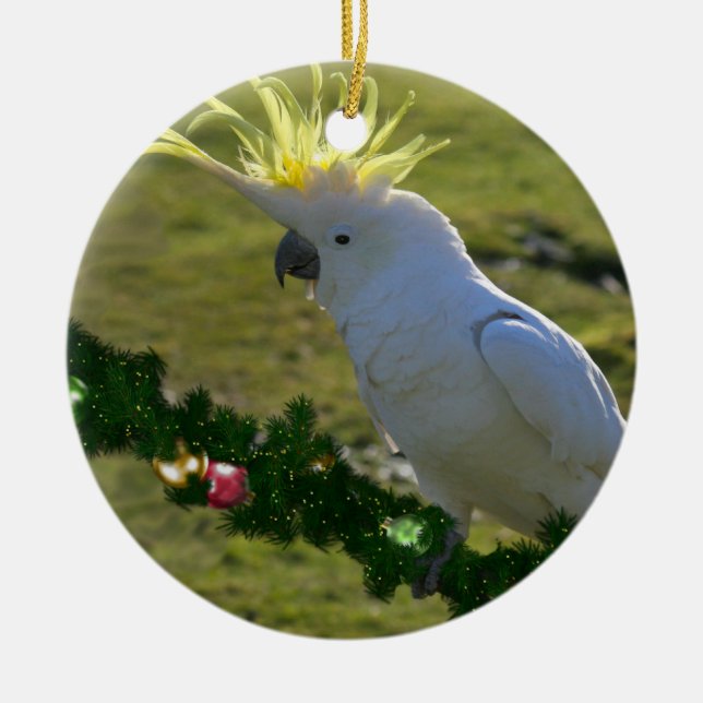 Ornement En Céramique Oiseau de Cockatoo de Noël en Australie (Devant)