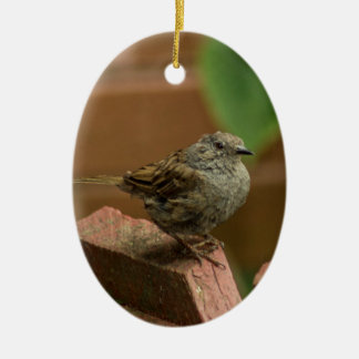 Ornement En Céramique Oiseau de roitelet