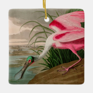 Ornement En Céramique Oiseaux d'Amérique de spatule de rose Audubon Imp