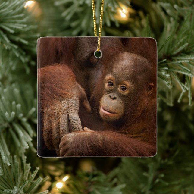 Ornement En Céramique Orangutan mère et bébé au zoo (Arbre)