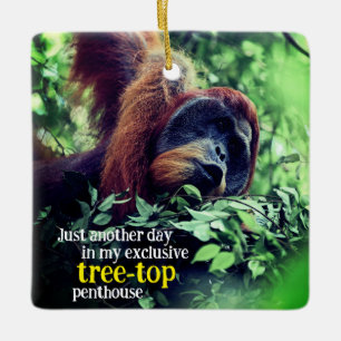 Ornement En Céramique Orangutan se relaxer dans l'arbre