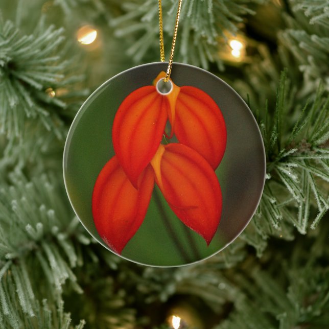 Ornement En Céramique Orchidée de Masdevallia ignea (Arbre)