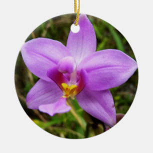 Ornement En Céramique Orchidée sauvage violette Fleur tropicale