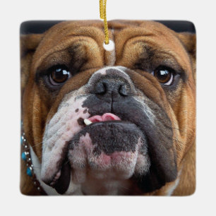 Ornement En Céramique Oreillers à lancer de Bulldog anglais