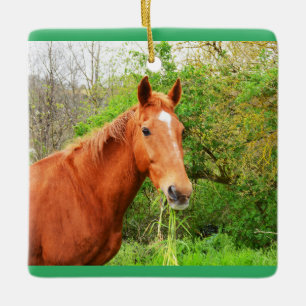 Ornement En Céramique Orion le cheval affamé
