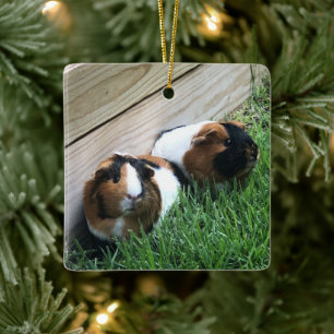 Ornement En Céramique Ornament - Guinea Pigs