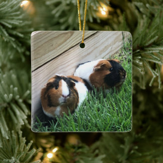 Ornement En Céramique Ornament - Guinea Pigs