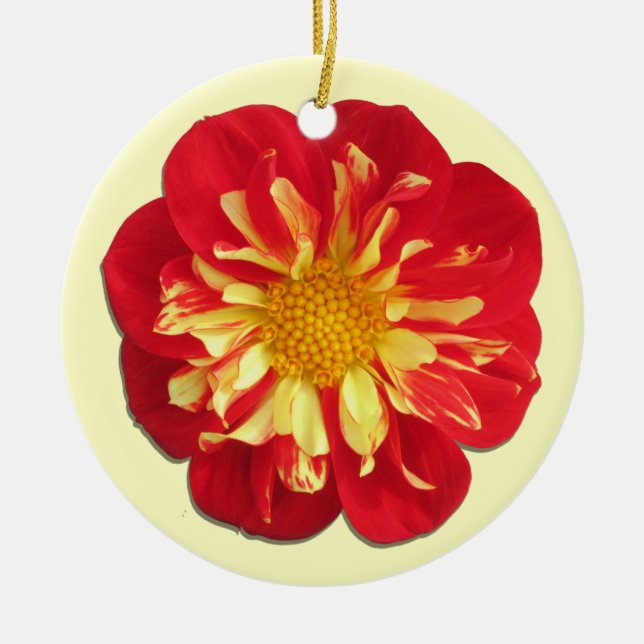 Ornement En Céramique Ornament - StarSister Dahlia (Devant)
