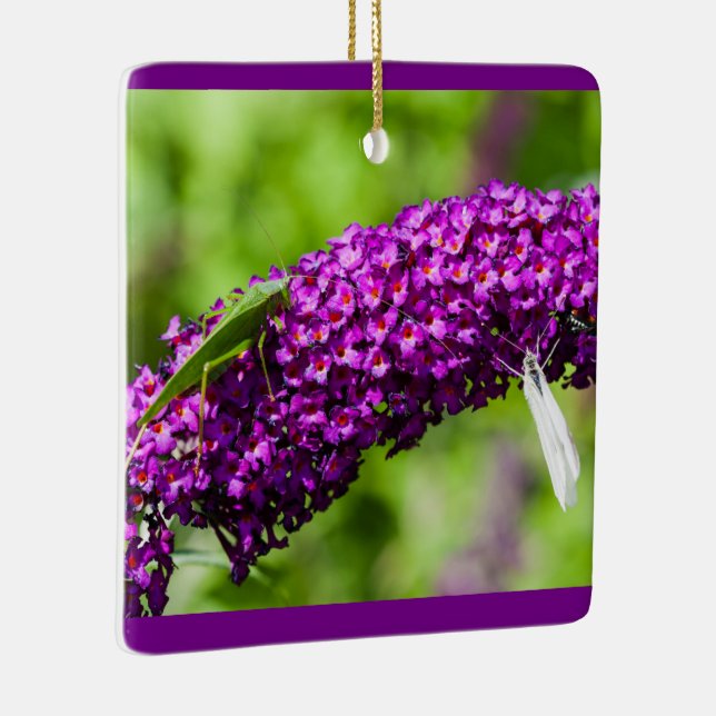 Ornement En Céramique ornement céramique katydid énergie (Droite)