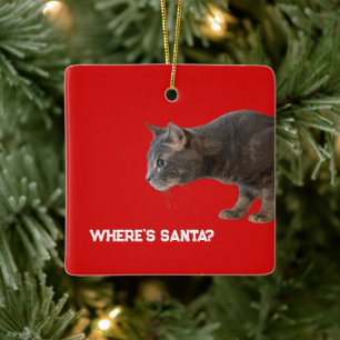 Ornement En Céramique Où est l'ornement Santa Cat