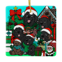 Où est (Waldo) Newfy ? (rouge)