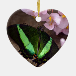 Ornement En Céramique Papillon