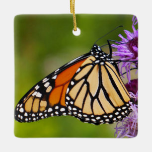 Ornement En Céramique Papillon monarque sur Liatris
