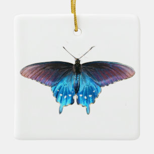 Ornement En Céramique Papillon noir à queue fourchue sur la plage de la