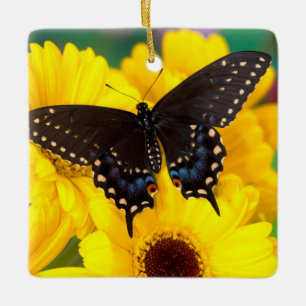 Ornement En Céramique Papillon Papilio polyxenes