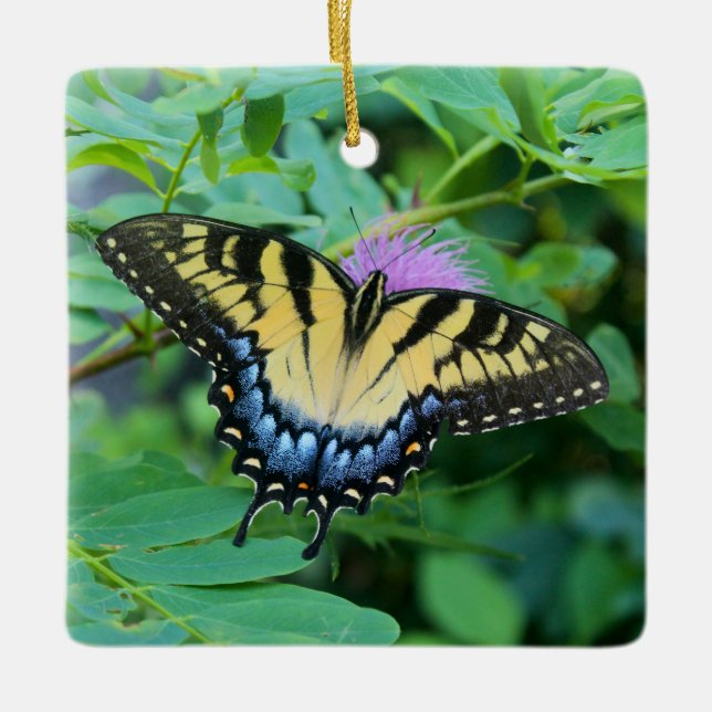 Ornement En Céramique Papillon swallowtail de l'Est (Devant)