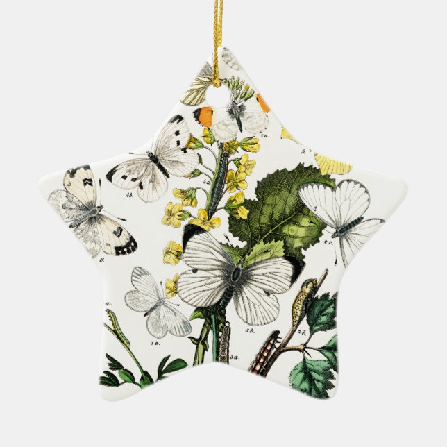 Ornement En Céramique Papillons d'Europe vintage (Devant)