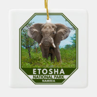 Parc national d'Etosha Namibie Elephant Aquarelle