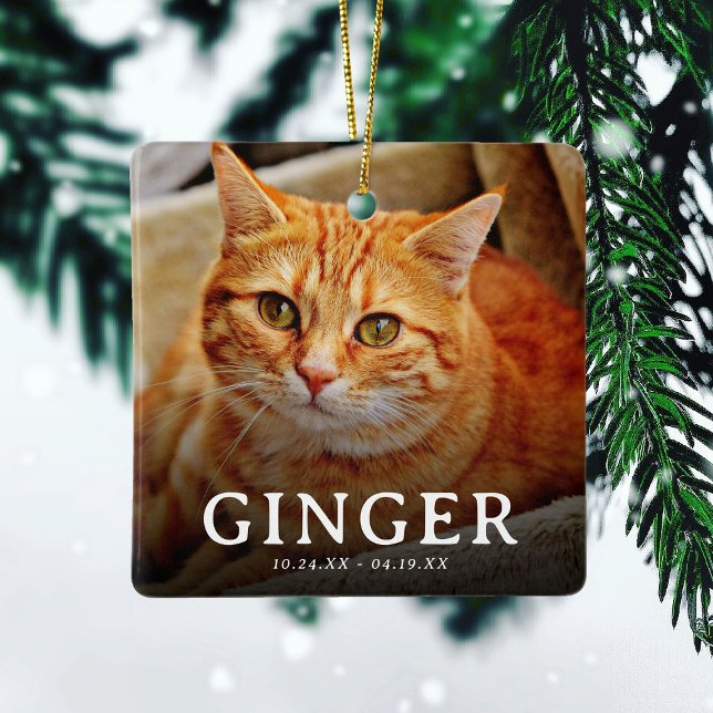 Ornement En Céramique Pawprints sur nos cœurs  Mémorial pour animaux de  (Créateur téléchargé)