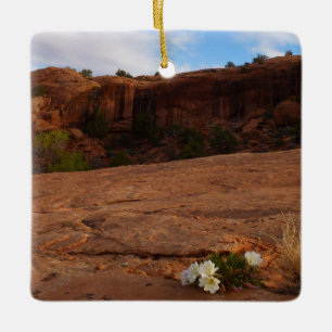 Ornement En Céramique Paysage d'Arches Slickrock et d'Oenothère
