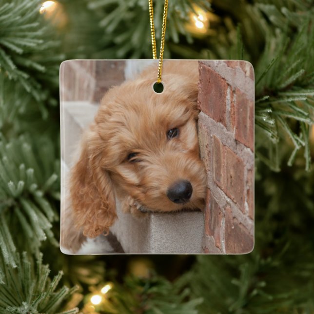 Ornement En Céramique Peecing de Goldendoodle (Arbre)