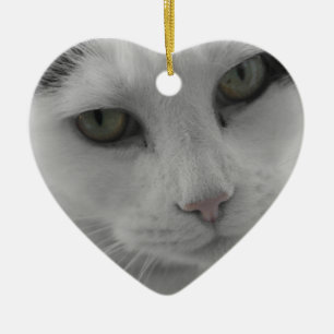 Ornement En Céramique Pensées de chats
