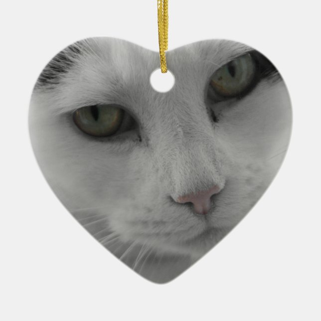 Ornement En Céramique Pensées de chats (Devant)