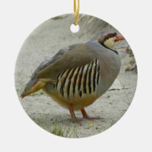 Ornement En Céramique Perdrix de Chukar