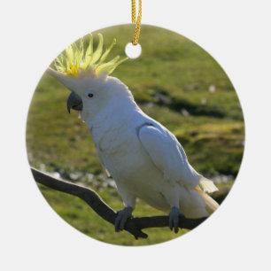 Ornement En Céramique Perroquet de Cockatoo jaune et blanc